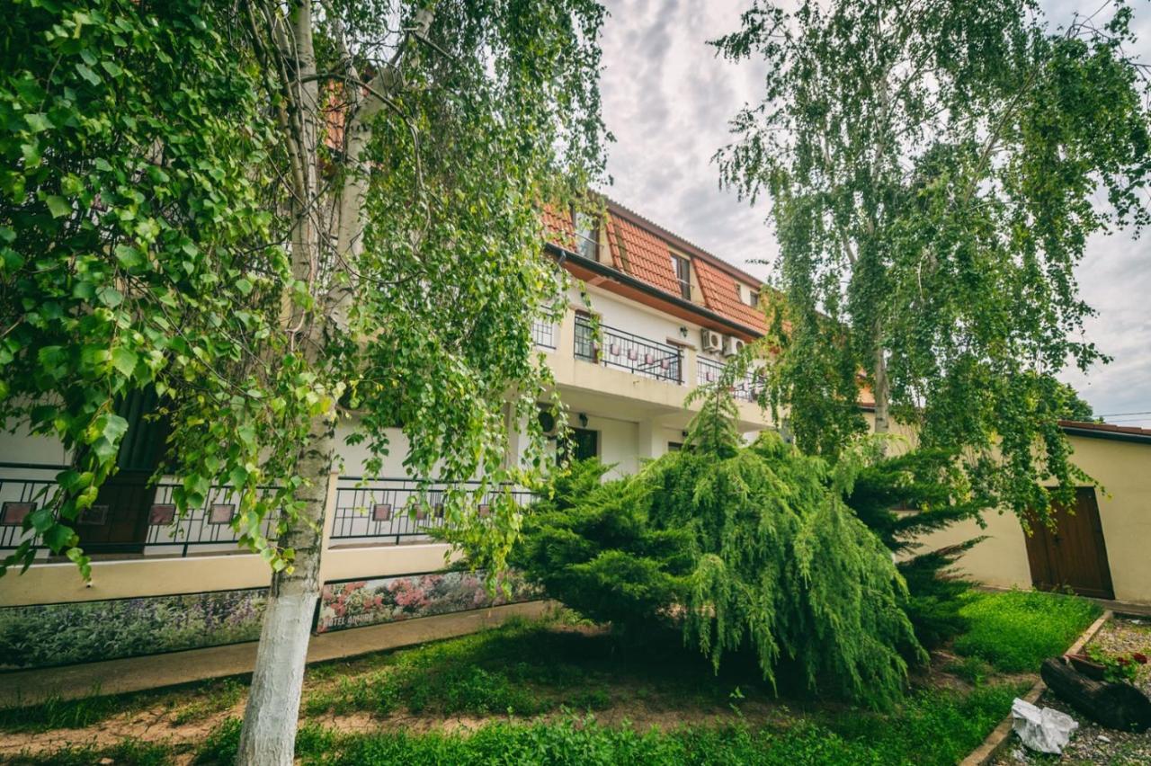 Hotel Amurg Eforie Sud  Exteriér fotografie